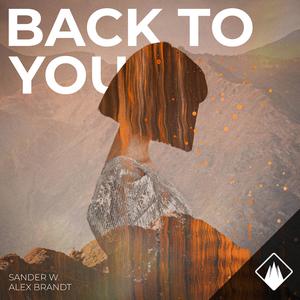 Back To You (Radio Edit) (feat. Roundrobin)