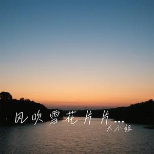 风吹雪花片片落 (Cover 洋澜一)