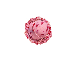 寻晨号：拯救世界之战