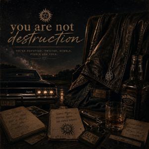 You Are Not Destruction