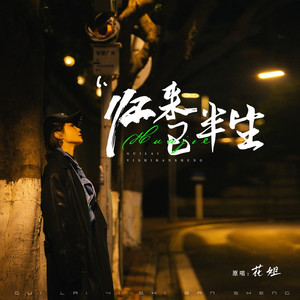 归来已半生 (DJ九零版)