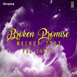 Broken Promise Mashup (Lofi Vibe)