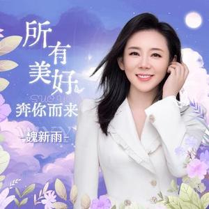 所有美好奔你而来 (DJ)
