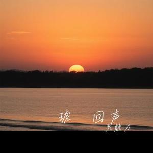 琥珀回声