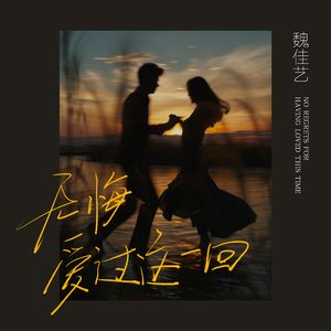 无悔爱过这一回