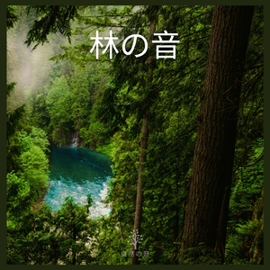 林の音、パート33