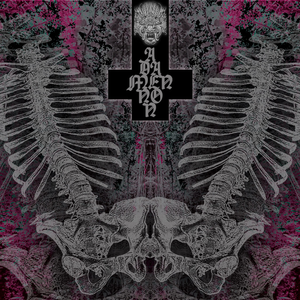 La Cinica Foresta Di Tetri Arbusti Deformi II