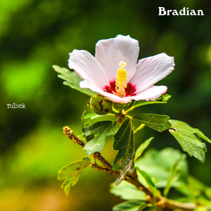 Eat And Cook Healthy