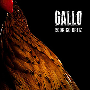 Gallo
