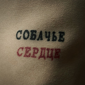 собачье сердце