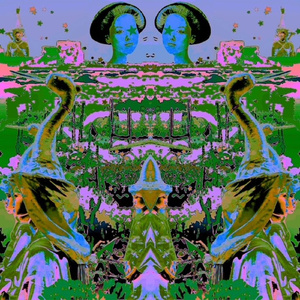 Eeko