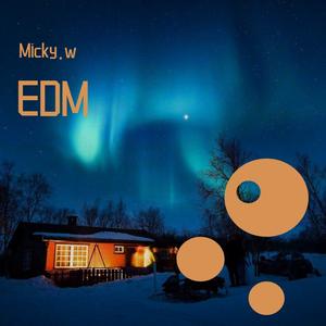 王宇宙Leto-若月亮没来REMIX.mp3（Micky.w remix）