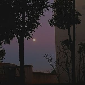 总有一天你会出现在我身边