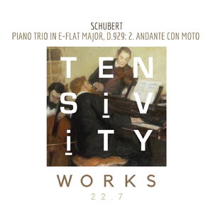 Piano Trio in E-Flat Major, D. 929: 2. Andante con moto