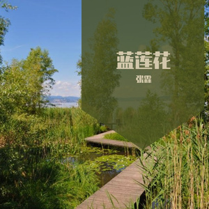 蓝莲花(翻自许巍）