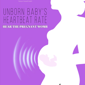 Week 13 Distinguish Is a Boy or a Girl by Ultrasound Scan (150 Baby's Heartbeat)