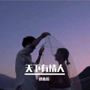 《天下有情人》演唱