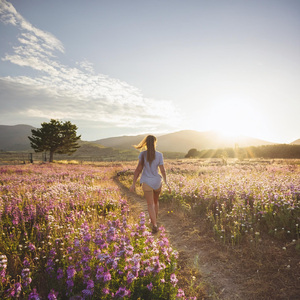 Armonías Calmantes Nocturnas Para La Relajación