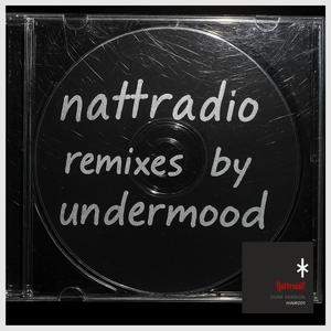 Restless Shadows (undermood Remix Dusk Version)