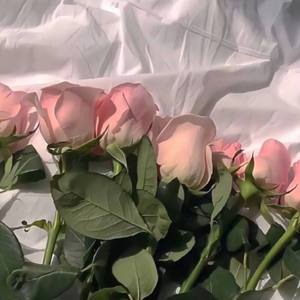 小幸运(原唱：田馥甄)