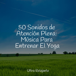 Relájate en Armonía