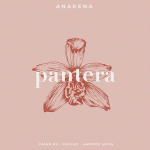 Pantera (Acústica)