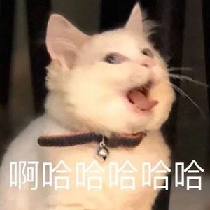 许你一场相见如故 眉目成书