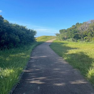 キミがいたから