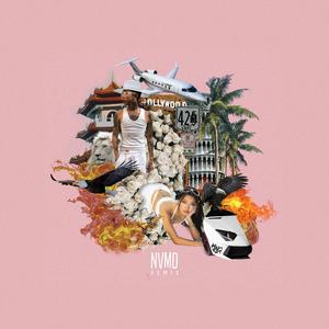 NVMD (Remix) (feat. Denise Julia)