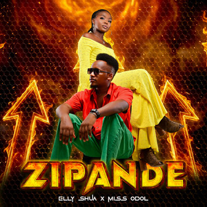 Zipande