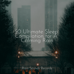 Cityscapes of Rust and Concrete