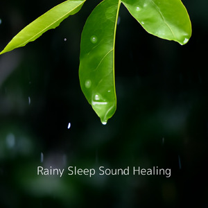 夜の瞑想ピアノBGM (雨)