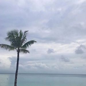 云压雨（翻自我是土豆）