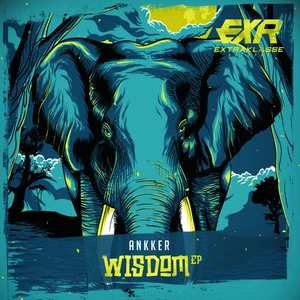 Wisdom (Original Mix)