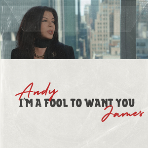 I’m a Fool to Want You
