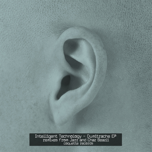 Voronet (Original Mix)