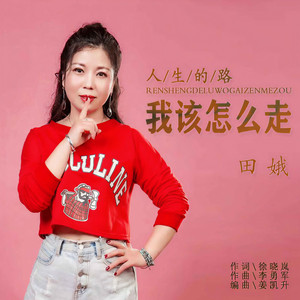 人生的路我该怎么走 (DJ伟然版)