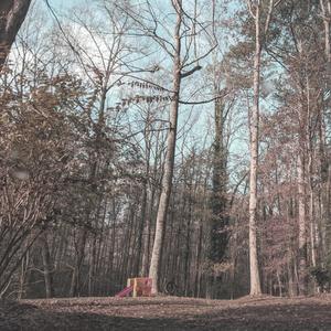 Friday Night Shut-in