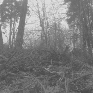 Magdalene (From "Silent Hill 2")