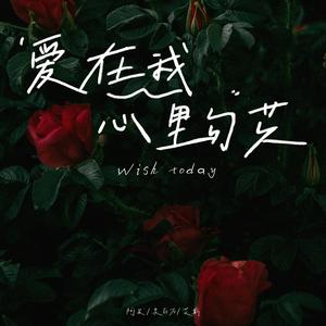 爱在我心里勾芡（wish today）