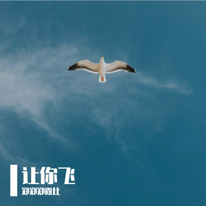 让你飞