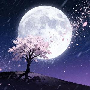 満月の下で