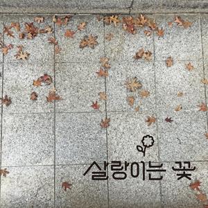 가을이 가도