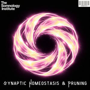 Cortical Map Reorganization