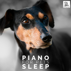 Piano Pets Love To Listen To - Loop