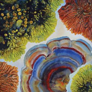 How to Make a Bomb (feat. Maisie Kappler)