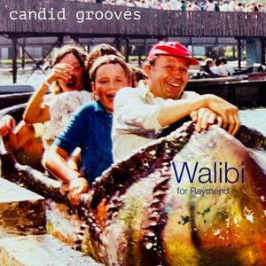 Walibi (for Raymond)