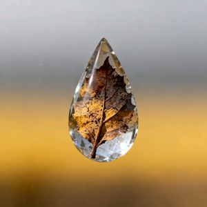 干枯雨（Prod.by 赖建宜）