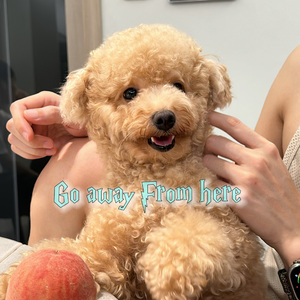 Go away form here-(Prod by DarutoBeatz)