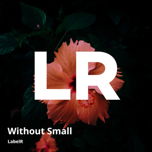 Without Small